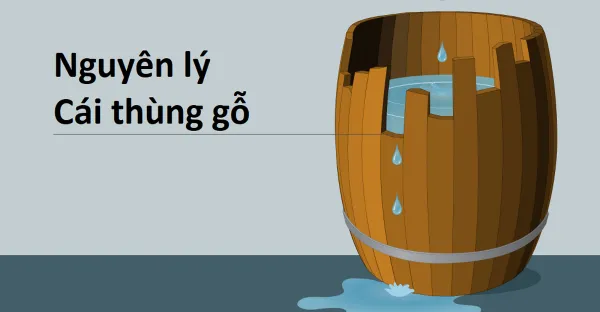 Cách học hiệu quả cho sinh viên trường y dược